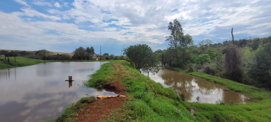Chácara - Venda - Centro - Cascavel - PR