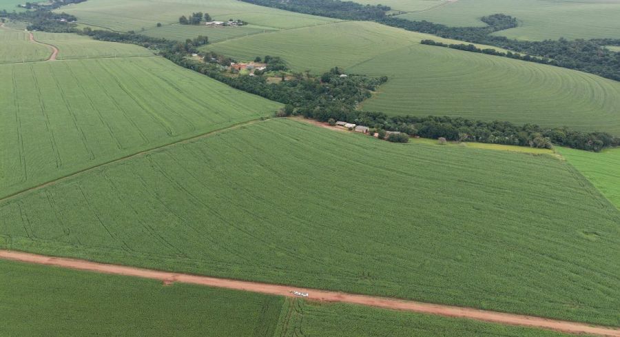Fazenda - Venda - Sede Alvorada - Cascavel - PR