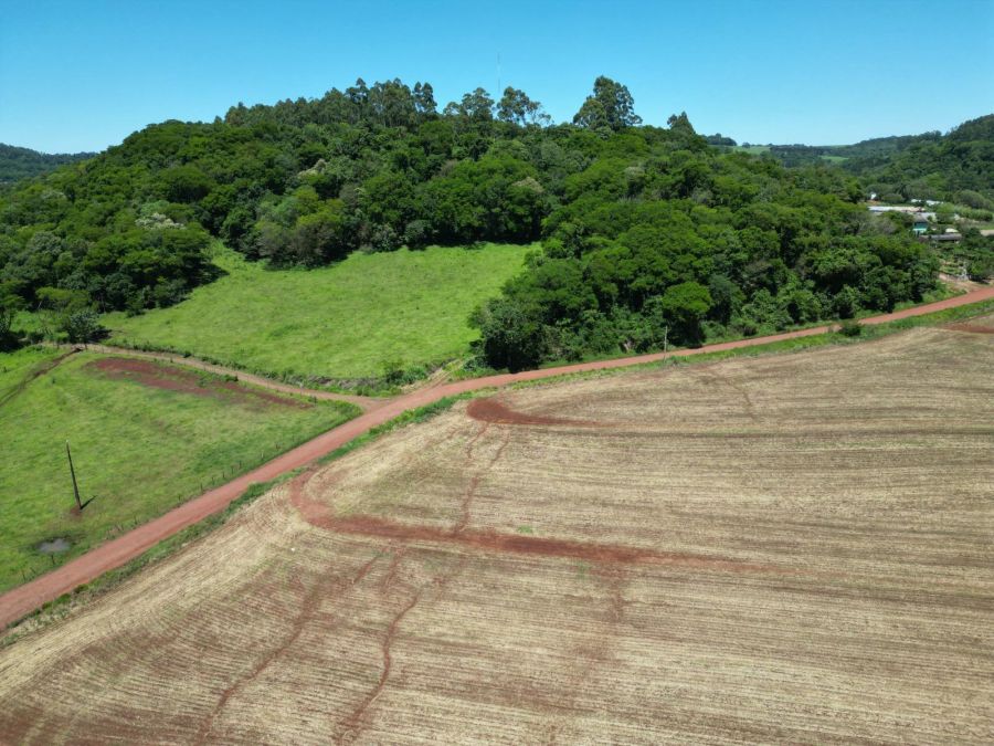 Chácara - Venda - São Salvador - Cascavel - PR