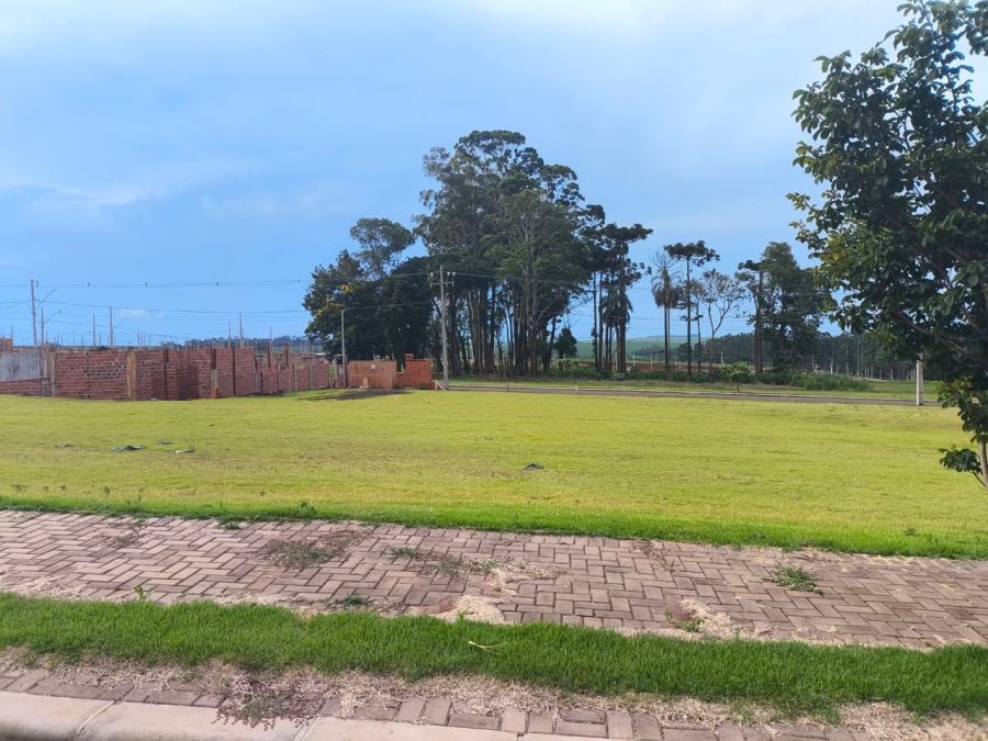 Terreno - Venda - Brazmadeira - Cascavel - PR